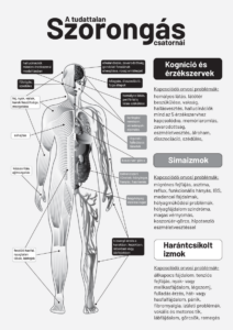 Szorongás infografika - a szorongás csatornáinak ábrázolása